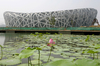 Beijijng%20Olympic%20Stadium.jpg